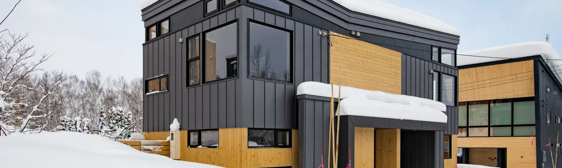 mountainbutterfly-2280px-5