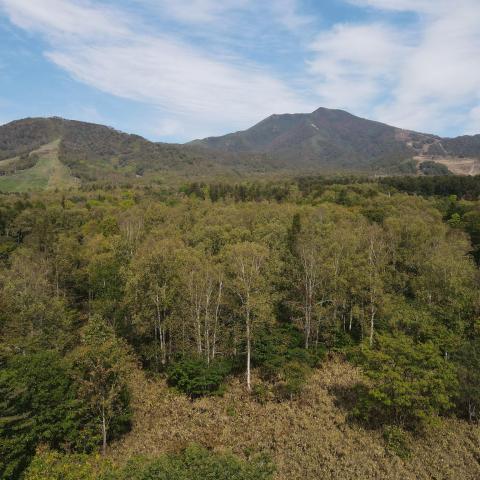 RT Corner Block 30m (1)