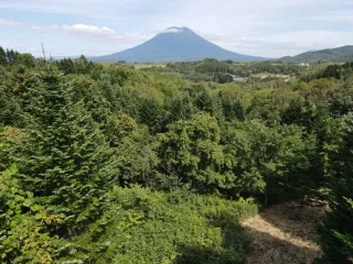 377294486_1578484769558642_3556070893748100447_n