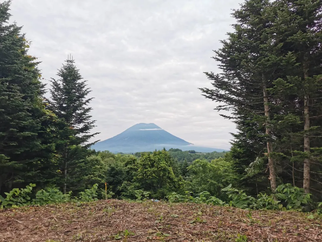 370335282_878581317070802_2879593361484368667_n