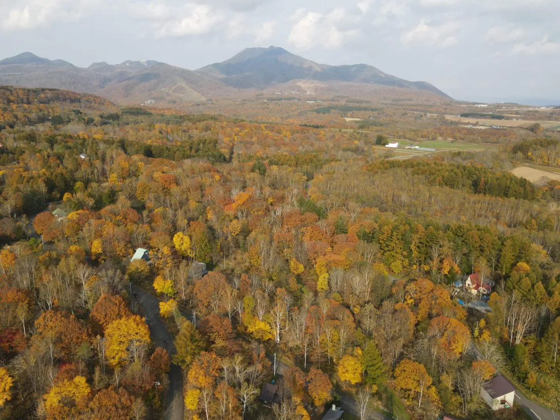 387484466_856300959535738_1067941279098858654_n