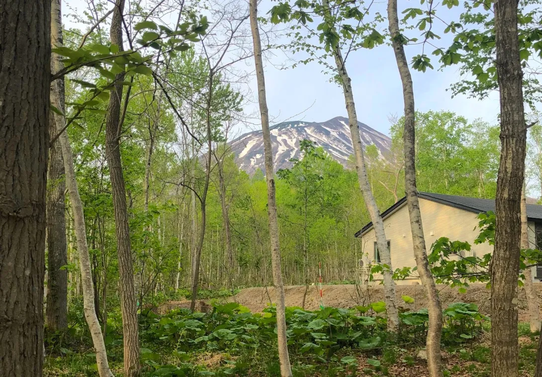 8aaf7354-6abf-4ae6-9bd8-58d485713a16